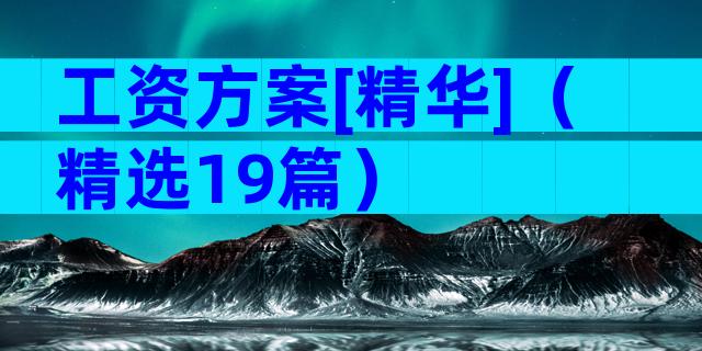 工资方案[精华]（精选19篇）